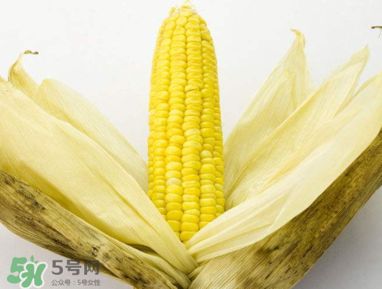 九月份能種玉米嗎？玉米九月份還可以種嗎？