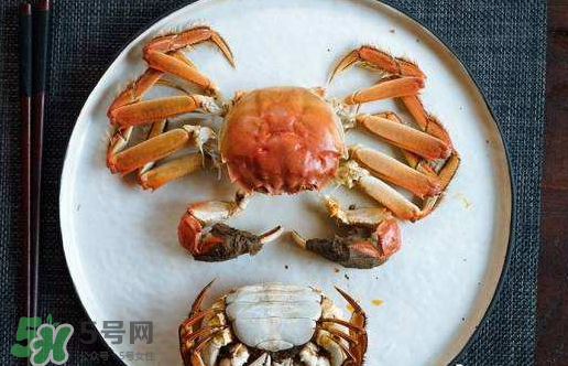 啤酒蒸大閘蟹好吃嗎？啤酒蒸大閘蟹怎么吃？
