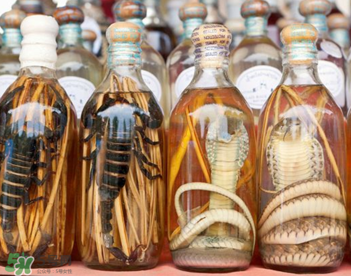 毒蛇泡酒有毒嗎？毒蛇泡酒能喝嗎？