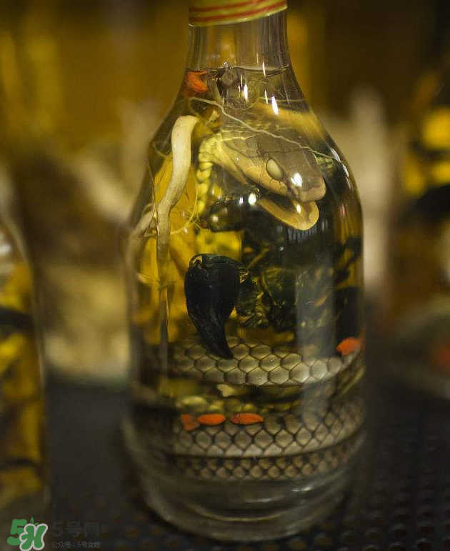 毒蛇泡酒有毒嗎？毒蛇泡酒能喝嗎？