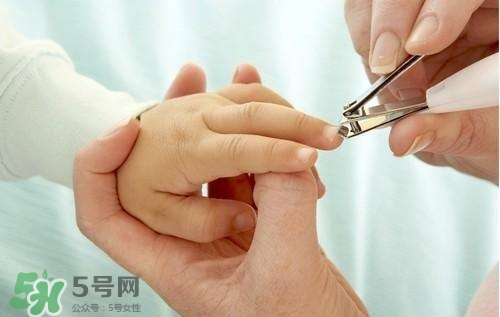寶寶多大可以剪指甲？寶寶剪指甲的正確方法