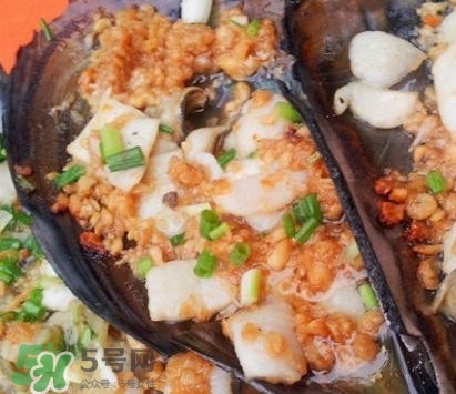 帶子是什么海鮮？帶子是什么東西
