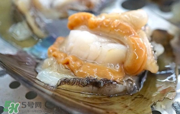 帶子哪里不能吃？帶子有什么營(yíng)養(yǎng)價(jià)值