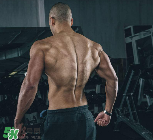 龍門架怎么練背？龍門架練背動作推薦