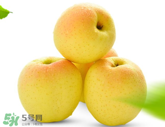 王林蘋果什么時(shí)候成熟？王林蘋果的營養(yǎng)價(jià)值