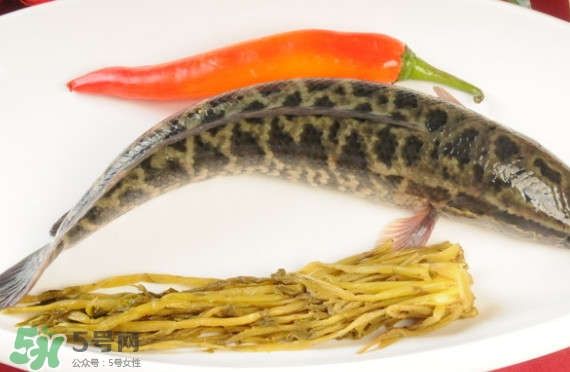 黑魚(yú)和草魚(yú)哪個(gè)好吃？黑魚(yú)不適合什么人吃
