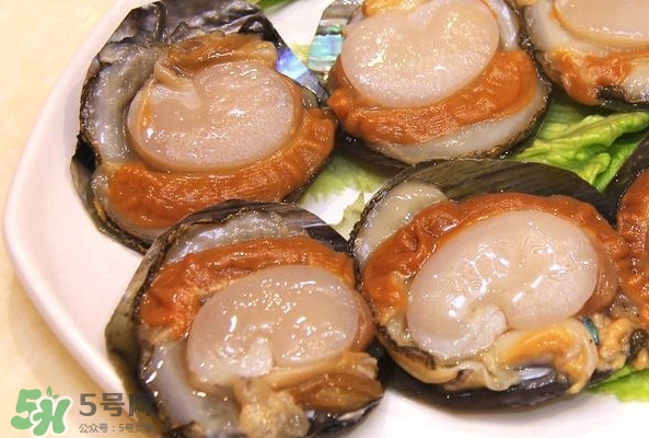 帶子是什么海鮮？帶子是什么東西