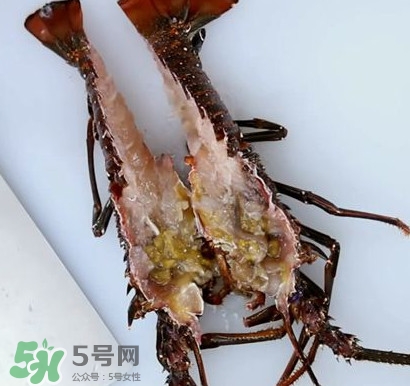 波士頓龍蝦怎么去蝦線？波士頓龍蝦怎么清洗
