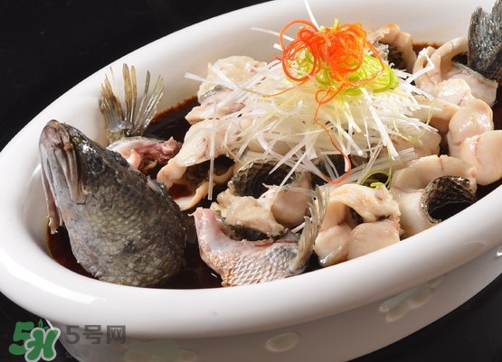 黑魚怎么殺不滑？黑魚為什么又被叫做財(cái)魚