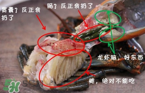 波士頓龍蝦頭能吃嗎？波士頓龍蝦哪里不能吃