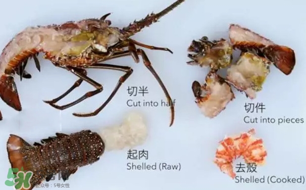 波士頓龍蝦有多大？波士頓龍蝦怎樣去殼