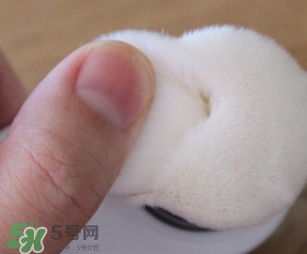 neogen妮珍面膜怎么樣？冷門性價比高的面膜