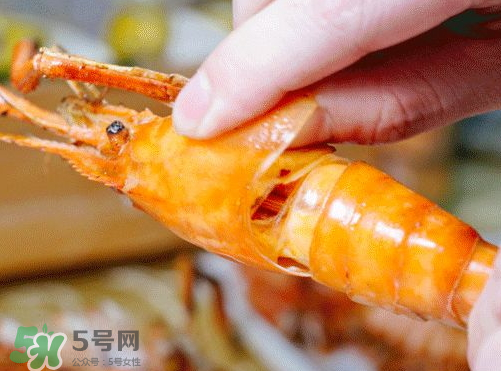大頭蝦怎么做好吃？大頭蝦怎么處理？