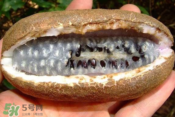 八月瓜能吃嗎？八月瓜到底有什么價值？