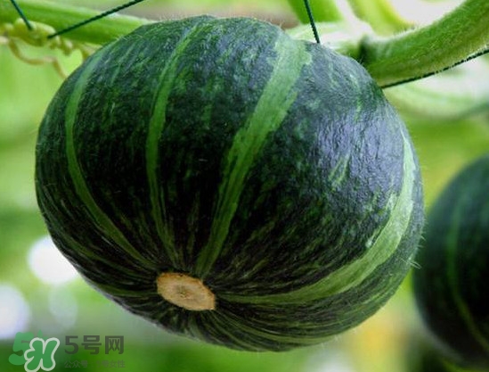 貝貝南瓜蒸多久能吃？貝貝南瓜和普通南瓜有什么區(qū)別