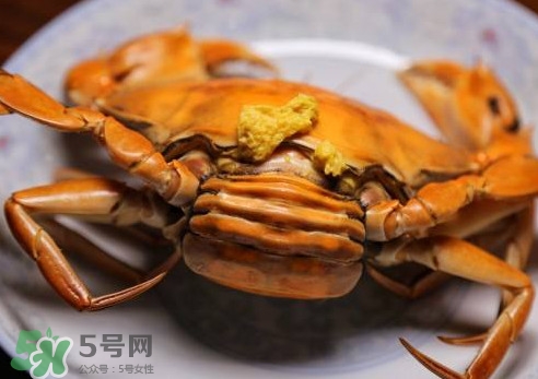 黃油蟹的選蟹標(biāo)準(zhǔn)是什么？黃油蟹的等級分類