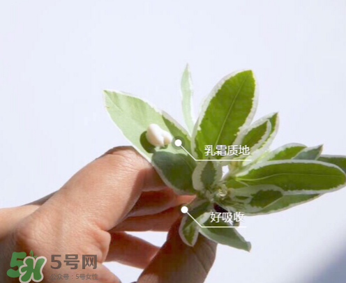 城野醫(yī)生377有副作用嗎？城野醫(yī)生377用了臉癢是什么原因？