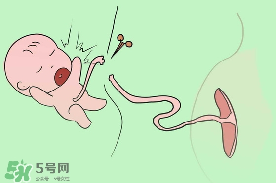 寶寶臍帶什么時(shí)候脫落？寶寶臍帶脫落后怎么護(hù)理？