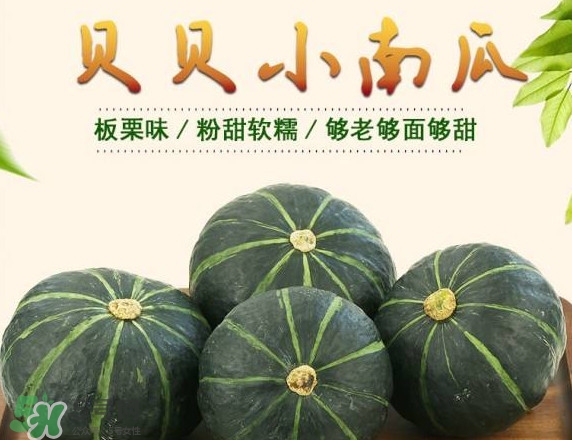 貝貝南瓜蒸多久能吃？貝貝南瓜和普通南瓜有什么區(qū)別