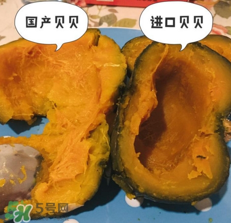 貝貝南瓜怎么挑選？貝貝南瓜有假的嗎