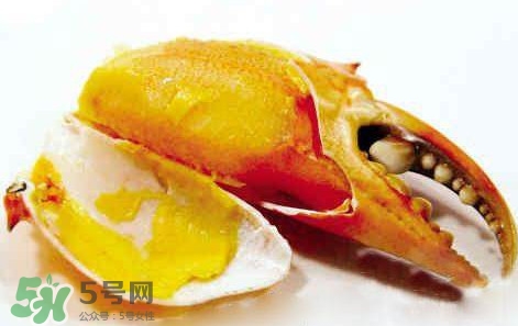 黃油蟹怎么處理？青蟹與黃油蟹有什么區(qū)別