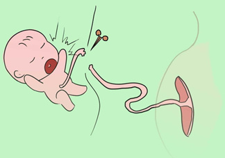 寶寶臍帶什么時(shí)候脫落？寶寶臍帶脫落后怎么護(hù)理？