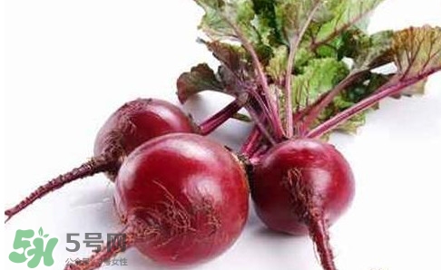 甜菜根是蘿卜嗎？甜菜根是什么菜