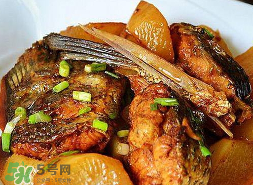 鱸魚(yú)可以紅燒嗎？鱸魚(yú)清蒸還是紅燒好吃？