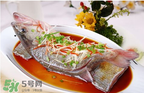 鱸魚(yú)為什么沒(méi)有刺？鱸魚(yú)為什么刺少？