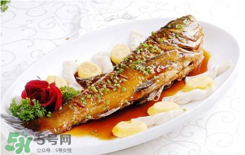 鱸魚(yú)為什么沒(méi)有刺？鱸魚(yú)為什么刺少？