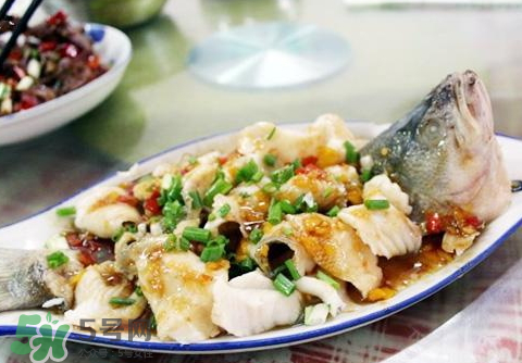 鱸魚(yú)為什么沒(méi)有刺？鱸魚(yú)為什么刺少？