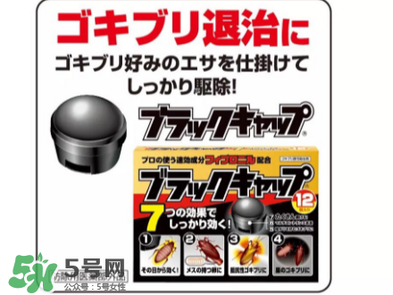 日本蟑螂藥好用嗎？日本蟑螂藥效果評測