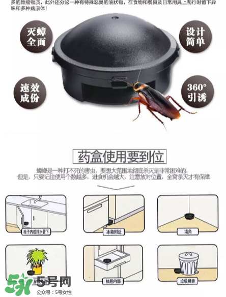 日本蟑螂藥好用嗎？日本蟑螂藥效果評測