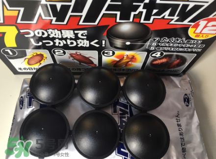 日本蟑螂藥哪里買得到？