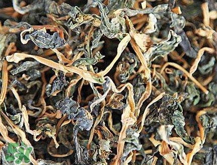 梅干菜是哪里的特產(chǎn)？梅干菜是發(fā)物嗎