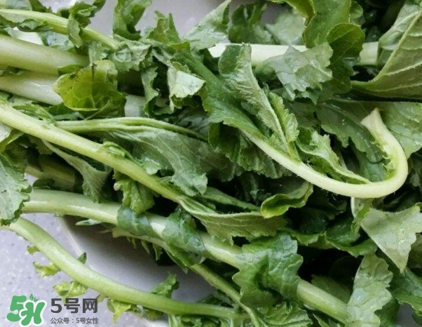 蘿卜纓能吃嗎？蘿卜纓怎么做好吃