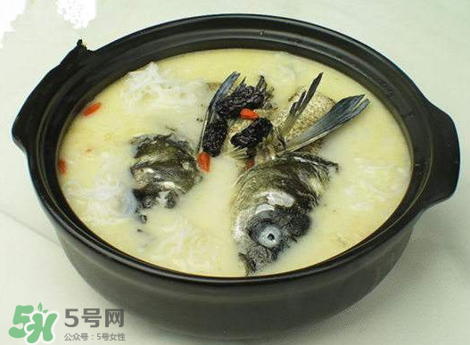 鯉魚湯怎么做好吃？鯉魚湯里面可以放什么？