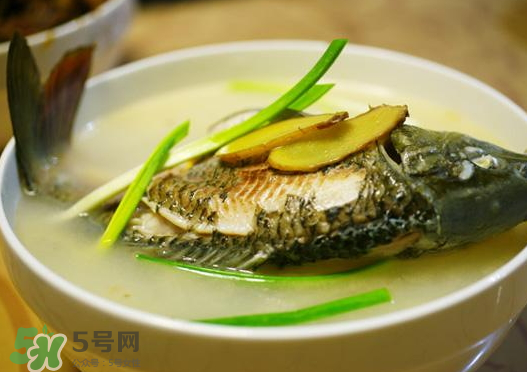 鯉魚湯怎么做好吃？鯉魚湯里面可以放什么？