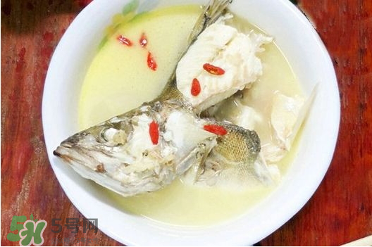 鯉魚湯怎么做好吃？鯉魚湯里面可以放什么？