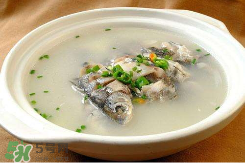 鯽魚湯下奶嗎？鯽魚湯的功效與作用