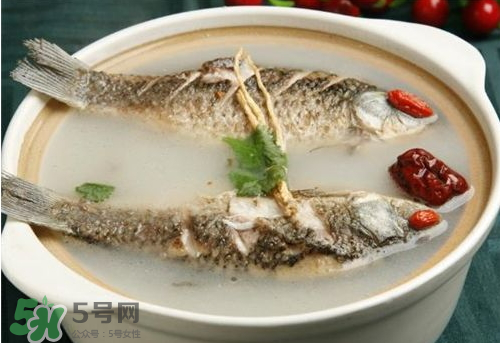 鯽魚湯下奶嗎？鯽魚湯的功效與作用
