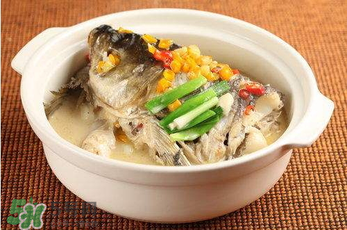 青魚湯怎么做好吃？青魚湯的功效與作用