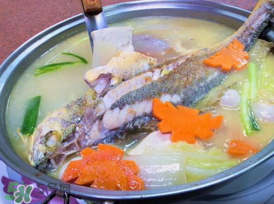 黃魚湯怎么做好吃？黃魚湯的營養(yǎng)價(jià)值