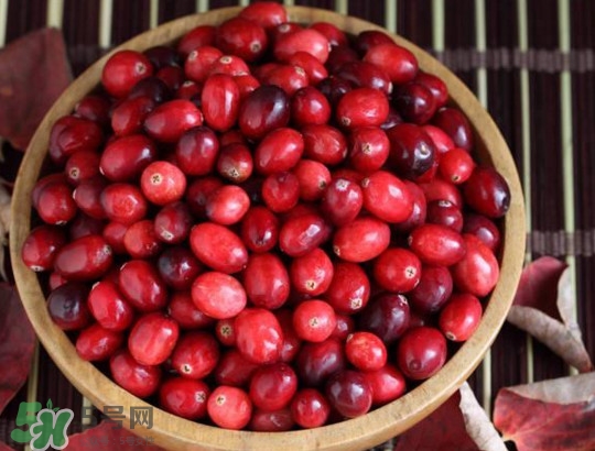 蔓越莓什么時候成熟？蔓越莓什么時候吃最好