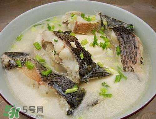 黑魚湯對(duì)傷口有好處嗎？黑魚湯的做法術(shù)后恢復(fù)