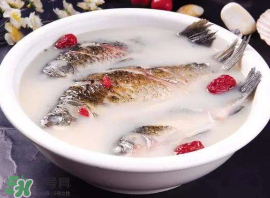 鯽魚湯里可以放什么菜最好？鯽魚燉湯放什么菜？