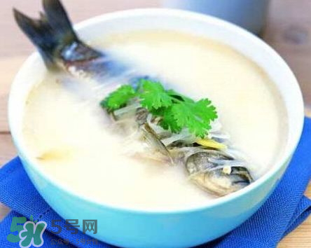 鯽魚(yú)湯可以放牛奶嗎？牛奶鯽魚(yú)湯的做法