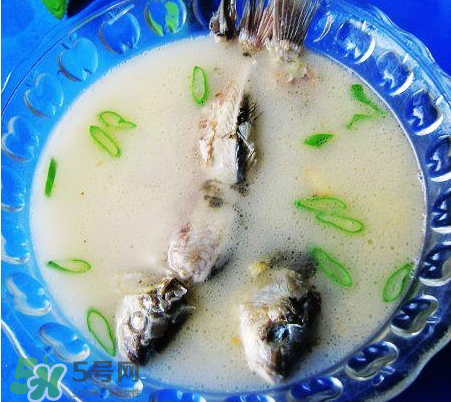 鯽魚(yú)湯可以放牛奶嗎？牛奶鯽魚(yú)湯的做法