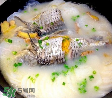 鯽魚(yú)湯可以放牛奶嗎？牛奶鯽魚(yú)湯的做法