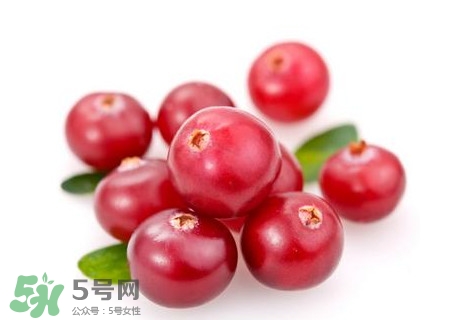 蔓越莓在中國有嗎？蔓越莓怎么辨別真假